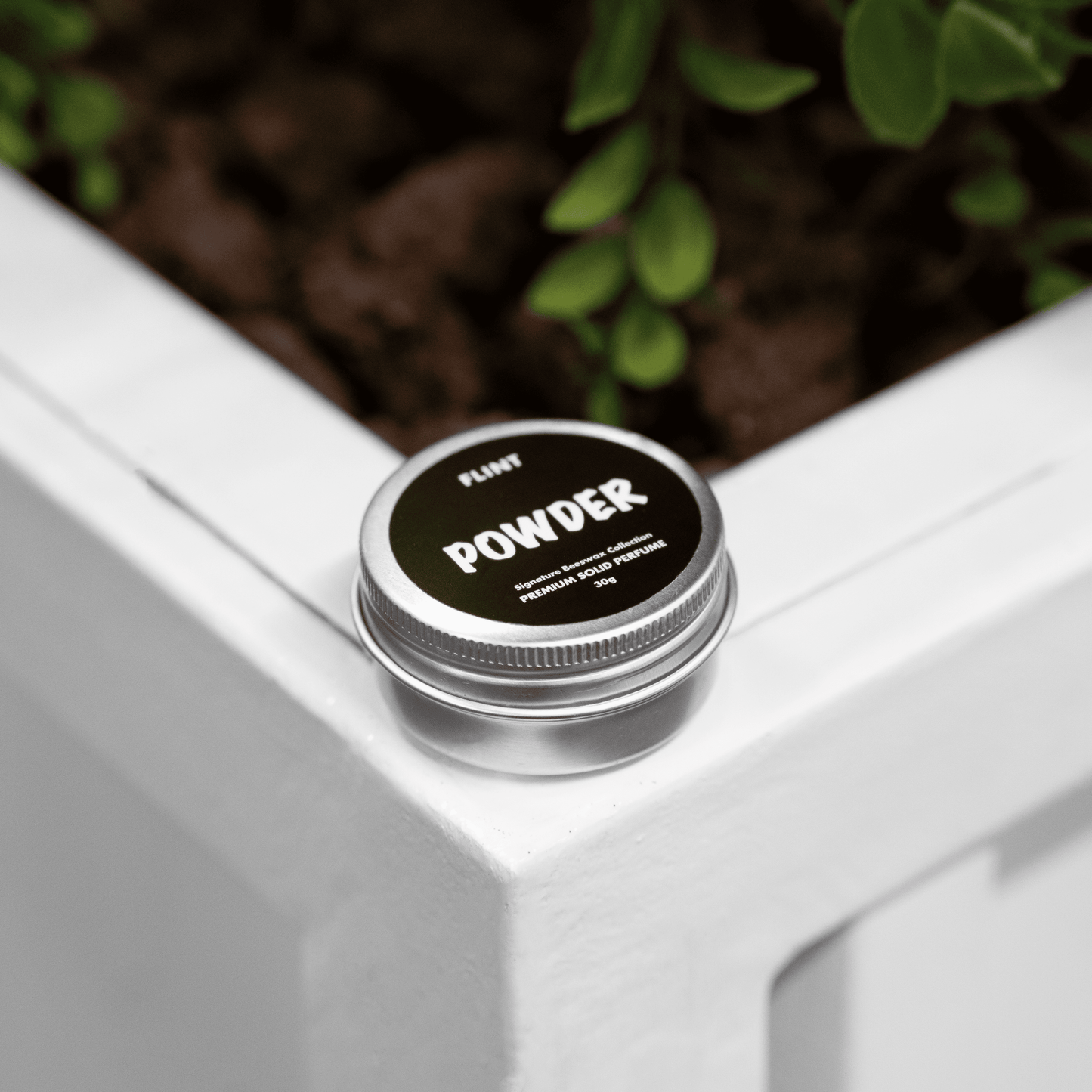 THE SOLID PERFUME