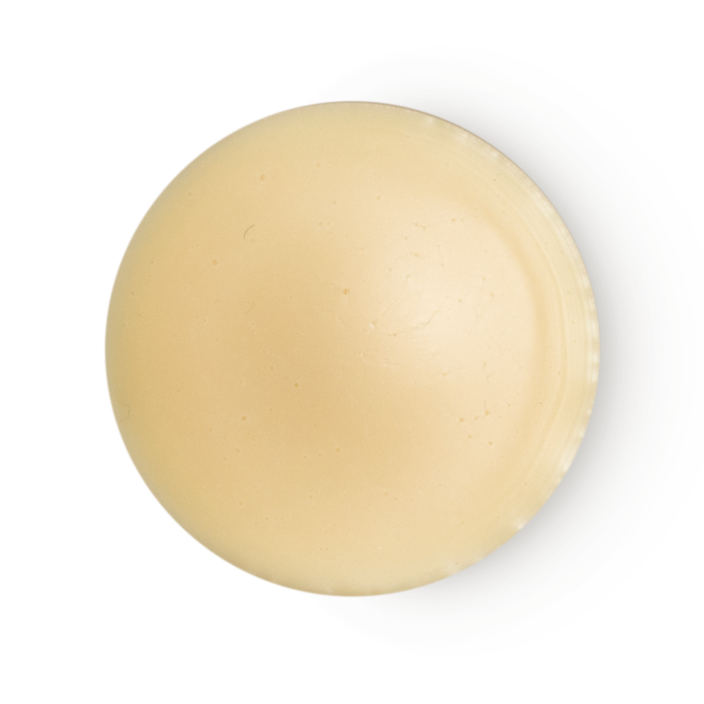 THE SOLID PERFUME