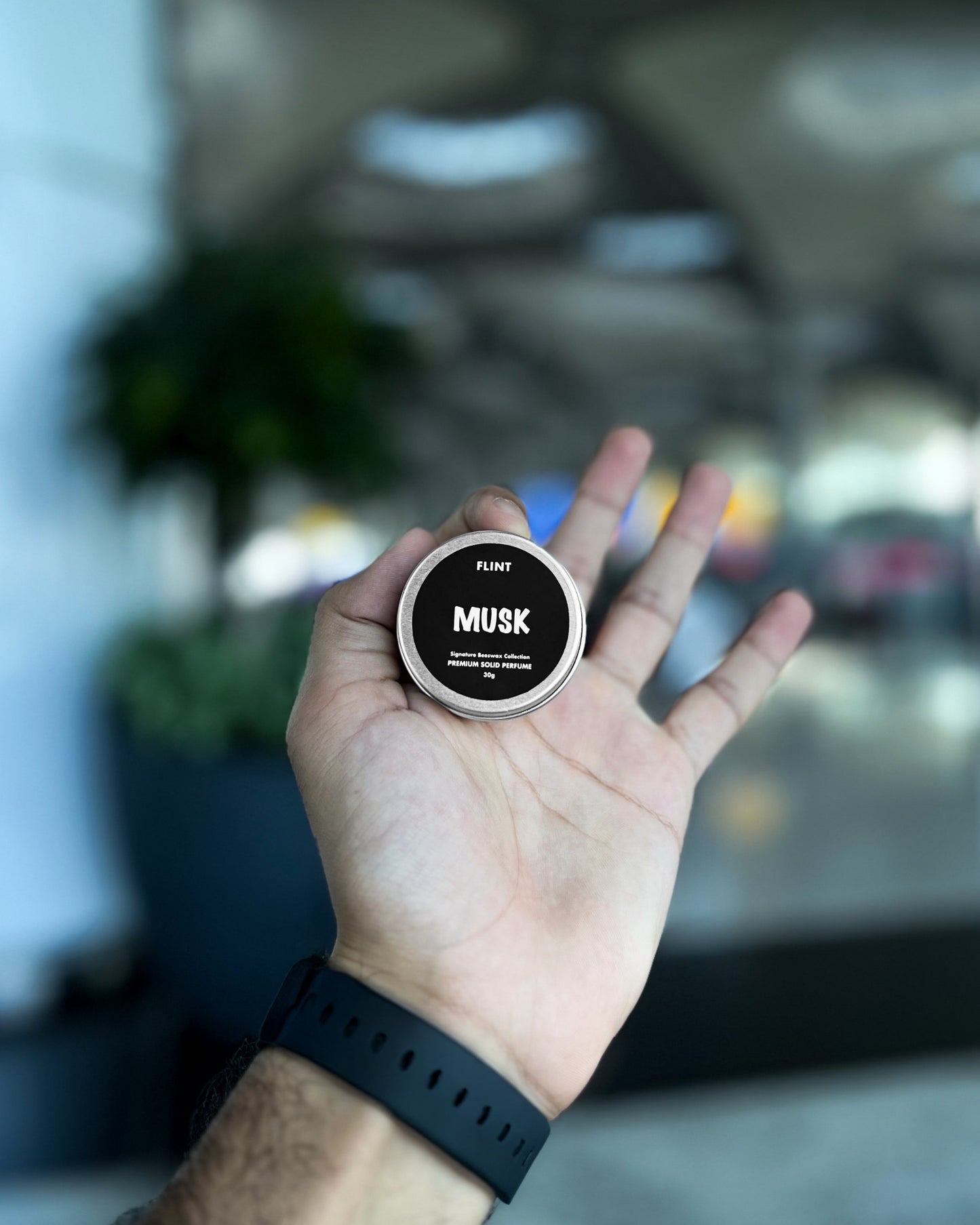 THE SOLID PERFUME